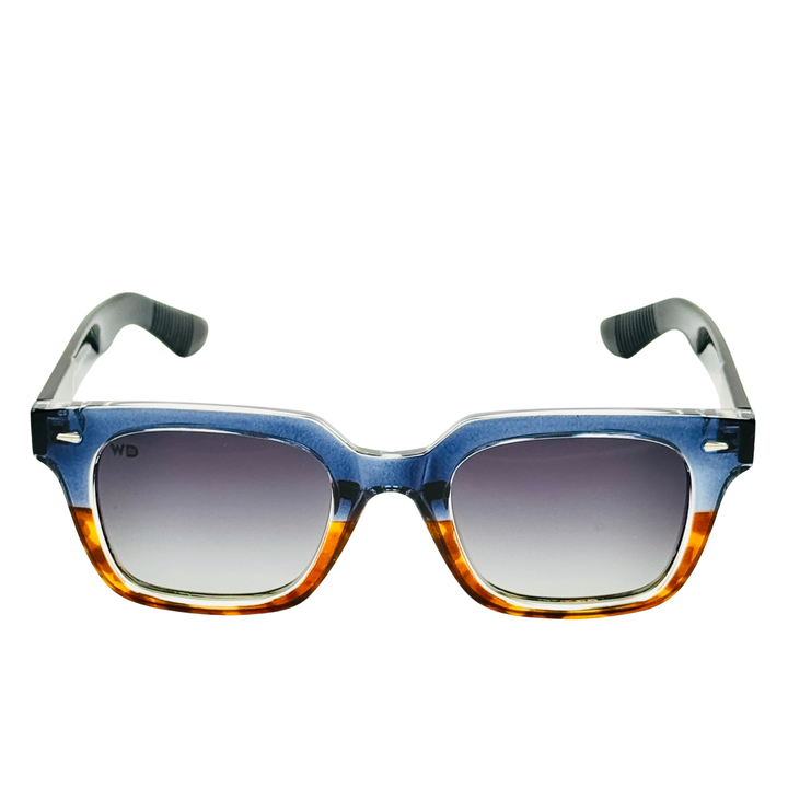 Wanderth Lentes De Sol Baxter