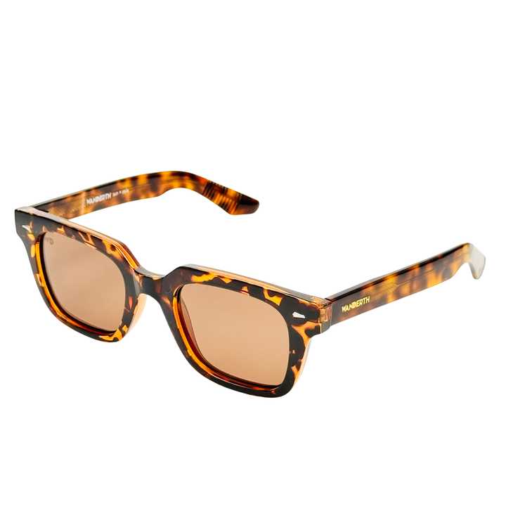 Wanderth Lentes De Sol Baxter