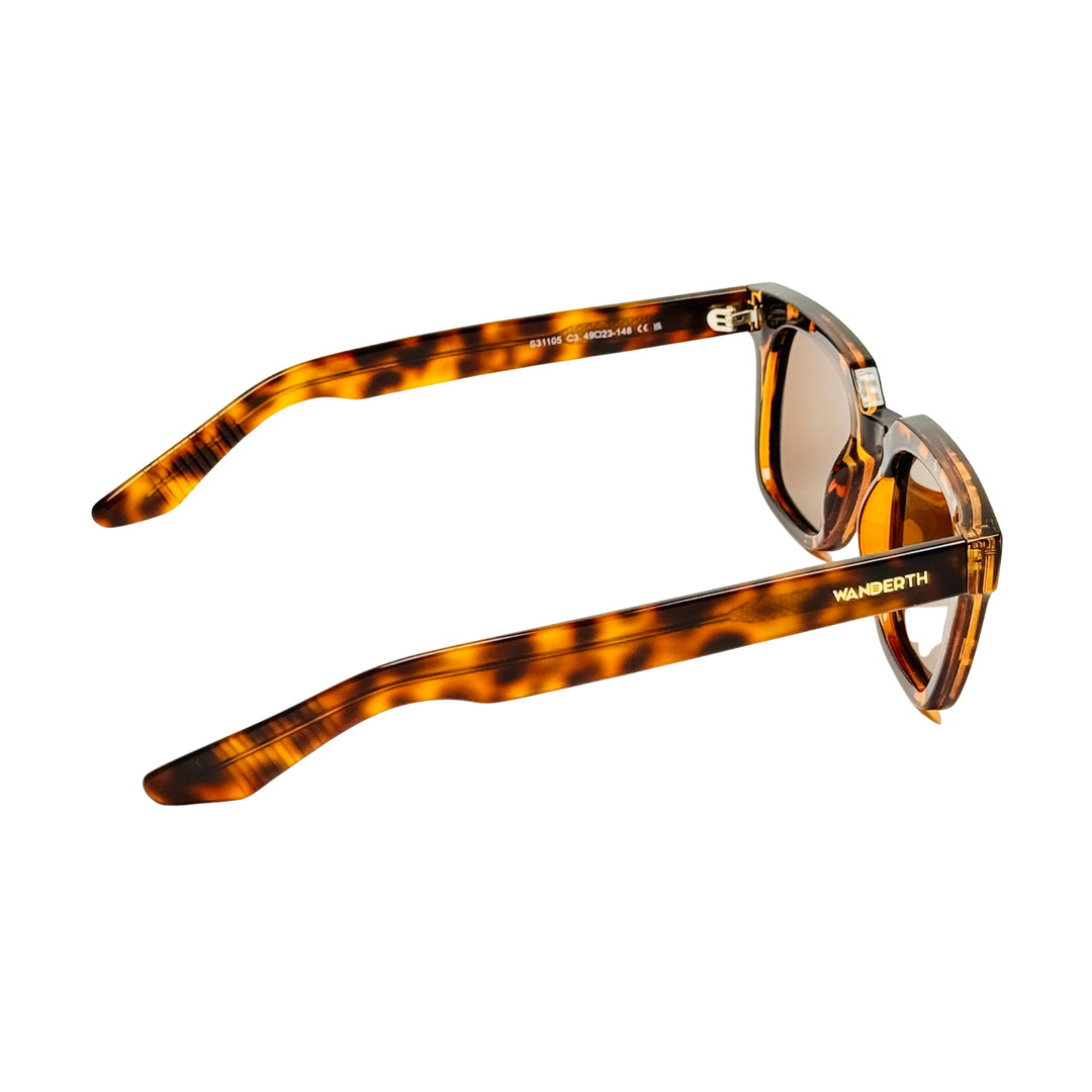Wanderth Lentes De Sol Baxter