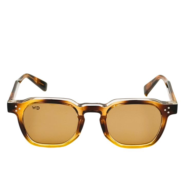 Wanderth Lentes De Sol Horizon Color Animal Print Lente Marrón Varilla Animal Print Armazón Animal Print Diseño Fashion