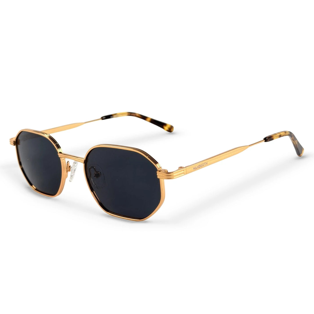 Aspen GS7010